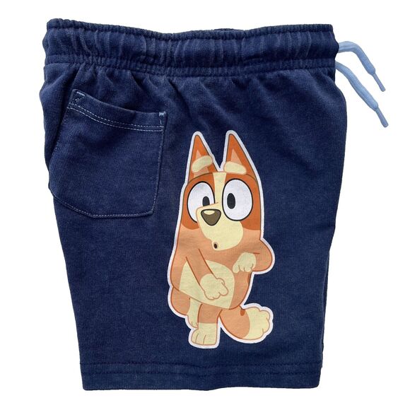 Bluey Bingo Two Piece Set Short Sleeve Shirt and Shorts Clear Sky Size 2T NWT - Picture 6 of 7